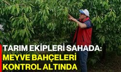 Tarım ekipleri sahada: Meyve bahçeleri kontrol altında