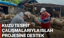 Kuzu tespit çalışmalarıyla ıslah projesine destek