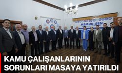 Kamu Çalışanlarının Sorunları Masaya Yatırıldı