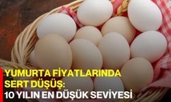 Yumurta fiyatlarında sert düşüş: 10 yılın en düşük seviyesi