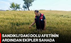 Sandıklı’daki dolu afetinin ardından ekipler sahada