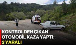 Kontrolden çıkan otomobil kaza yaptı: 2 yaralı