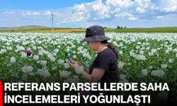 Referans parsellerde saha incelemeleri yoğunlaştı