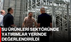 Su ürünleri sektöründe yatırımlar yerinde değerlendirildi
