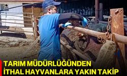 Tarım Müdürlüğünden ithal hayvanlara yakın takip