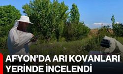 Afyon’da arı kovanları yerinde incelendi