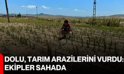 Dolu, tarım arazilerini vurdu: Ekipler sahada