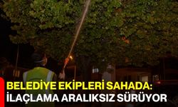 Belediye ekipleri sahada: İlaçlama aralıksız sürüyor