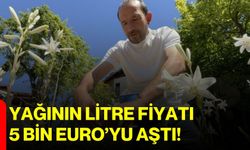 Yağının litre fiyatı 5 bin Euro’yu aştı!