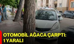 Otomobil ağaca çarptı: 1 yaralı