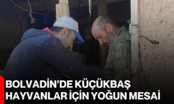 Bolvadin’de Küçükbaş Hayvanlar İçin Yoğun Mesai
