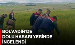 Bolvadin’de dolu hasarı yerinde incelendi