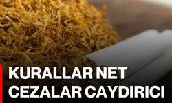 Kurallar net, cezalar caydırıcı