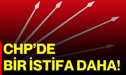 CHP’de bir istifa daha!
