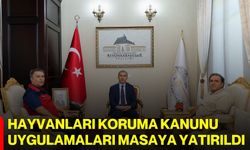 Hayvanları Koruma Kanunu uygulamaları masaya yatırıldı