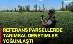 Referans parsellerde tarımsal denetimler yoğunlaştı