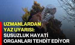 Uzmanlardan yaz uyarısı: Susuzluk hayati organları tehdit ediyor