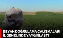 Beyan doğrulama çalışmaları il genelinde yaygınlaştı