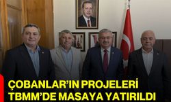 Çobanlar’ın projeleri TBMM’de masaya yatırıldı