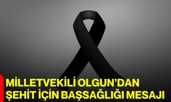 Milletvekili Olgun’dan şehit için başsağlığı mesajı