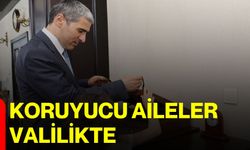 Koruyucu Aileler Valilikte