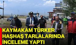 Kaymakam Türker haşhaş tarlalarında inceleme yaptı