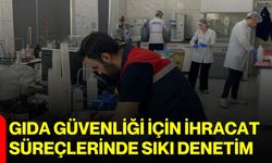 Gıda güvenliği için ihracat süreçlerinde sıkı denetim