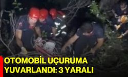 Otomobil uçuruma yuvarlandı: 3 yaralı