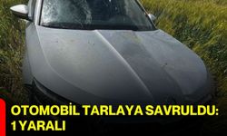 Otomobil tarlaya savruldu: 1 yaralı