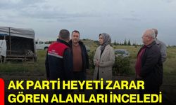 AK Parti Heyeti Zarar Gören Alanları İnceledi