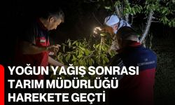 Yoğun yağış sonrası Tarım Müdürlüğü harekete geçti