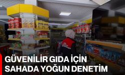 Güvenilir gıda için sahada yoğun denetim