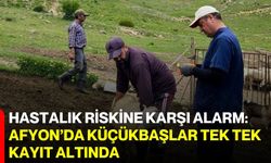 Hastalık riskine karşı alarm: Afyon’da küçükbaşlar tek tek kayıt altında