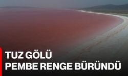 Tuz Gölü pembe renge büründü