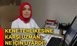 Kene tehlikesine karşı uzman ne için uyardı?