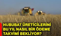 Hububat üreticilerini bu yıl nasıl bir ödeme takvimi bekliyor?