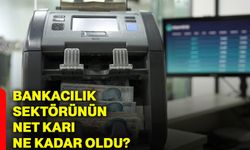 Bankacılık sektörünün net karı ne kadar oldu?
