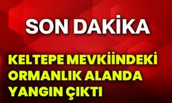 Keltepe Mevkiindeki ormanlık alanda yangın çıktı