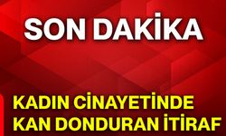 Kadın cinayetinde kan donduran itiraf