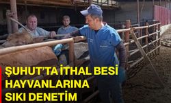 Şuhut’ta ithal besi hayvanlarına sıkı denetim