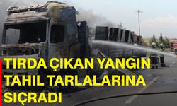 Tırda çıkan yangın tahıl tarlalarına sıçradı