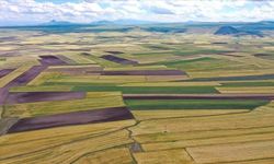 AFYONKARAHİSAR KADASTRO MÜDÜRLÜĞÜNDEN İLAN