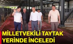 Milletvekili Taytak yerinde inceledi