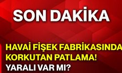 Havai fişek fabrikasında korkutan patlama! Yaralı var mı?