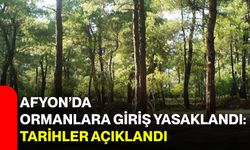 Afyon’da ormanlara giriş yasaklandı: Tarihler açıklandı