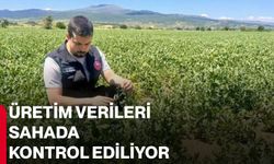 Üretim verileri sahada kontrol ediliyor