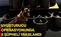 Uyuşturucu operasyonunda 5 şüpheli yakalandı