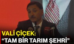 Vali Çiçek: “Tam bir tarım şehri”