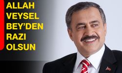 Allah Veysel Bey'den razı olsun