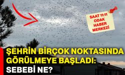 Şehrin birçok noktasında görülmeye başladı: Sebebi ne?